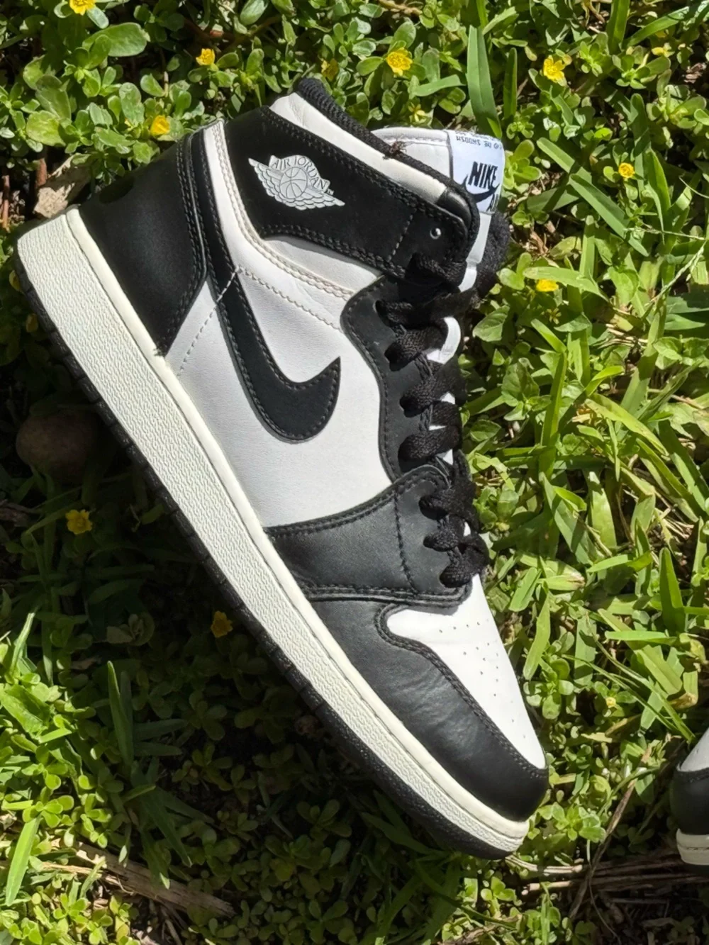 Nike authentic jordan